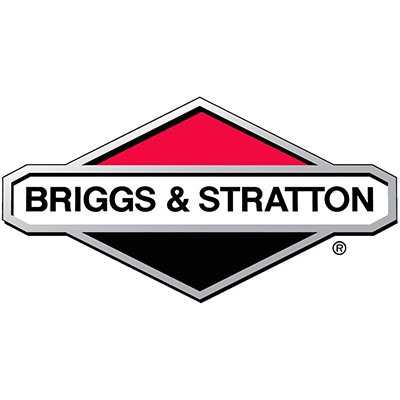 Briggs Names New SVP & CFO