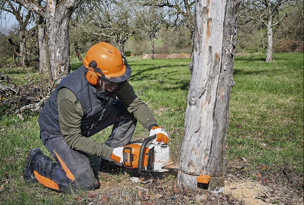 Stihl MSA 220 C-B Saw