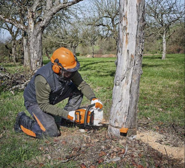 Stihl MSA 220 C-B Saw