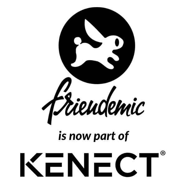 Friendemic-Kenect Weingartz, Ball Form E-commerce Venture