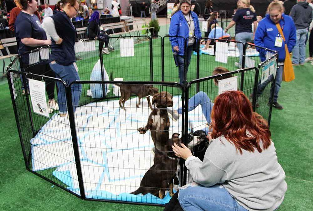 Equip Expo To Host 5th Annual Mutt Madness Pet Adoption