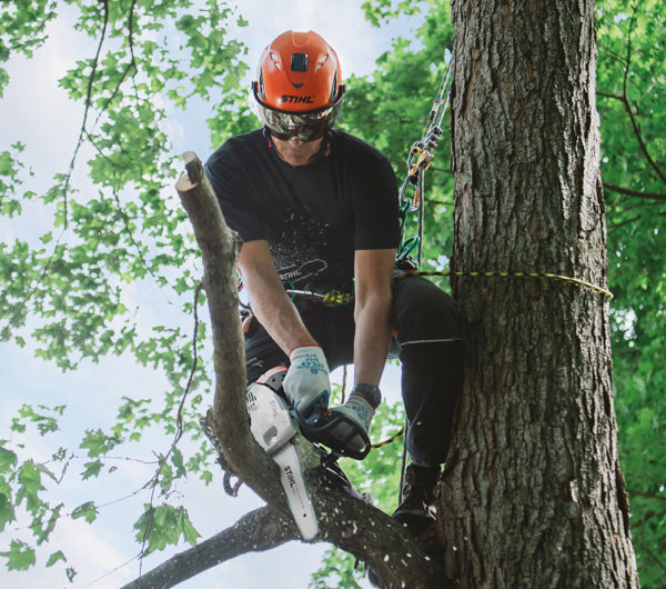 Stihl-MS-151-T-C-E Stihl MS 151 T C-E