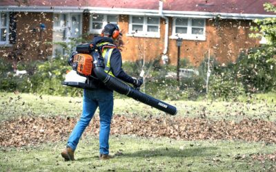 New From Echo: PB-9510 Backpack Blower