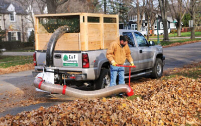 Little Wonder 14 HP TruckLoader