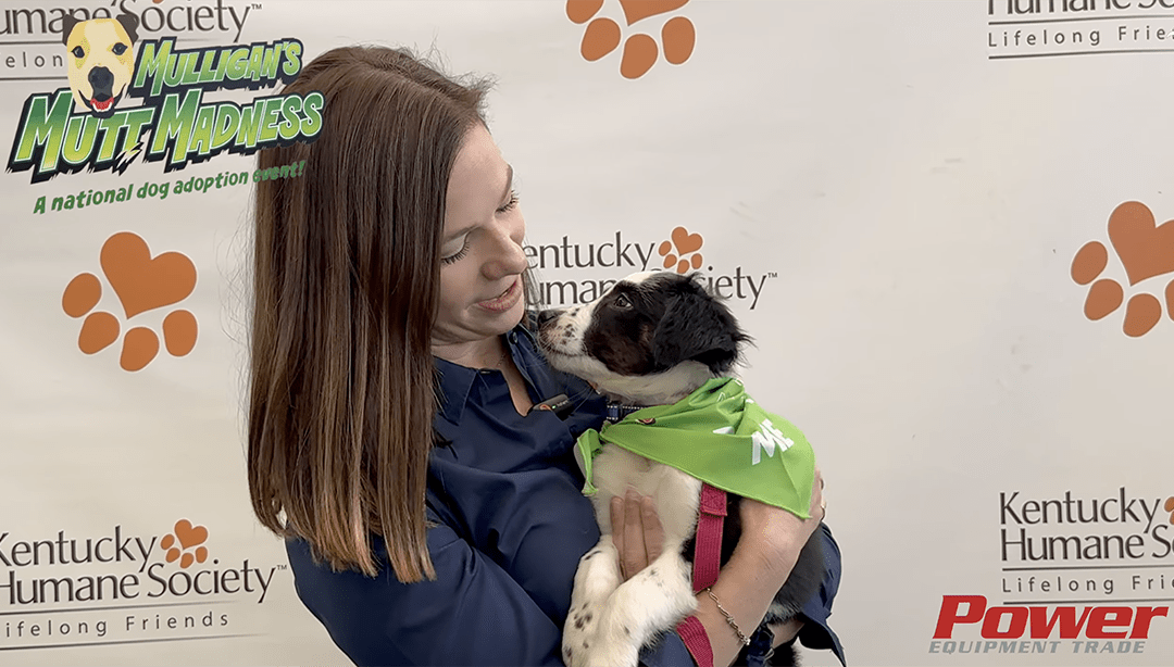 Mutt Madness: Rescue Dogs Steal the Show at Equip 2025, 13 Dogs Find Homes