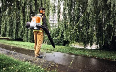 New From Stihl: BRA 200 & BRA 280 Blowers